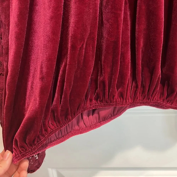 NWT Free People Raspberry Dream Team top, velvet with mesh sleeves & embroidery - Picture 7 of 10